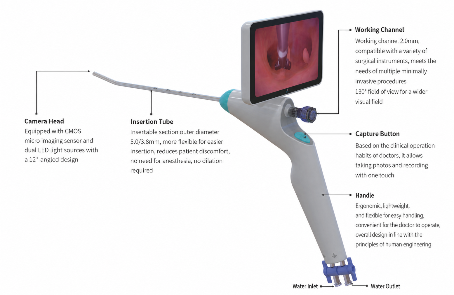 Electronic Hysteroscopic Imaging Catheter & Portable Electronic Endoscope Image Processor